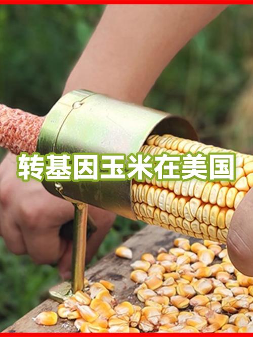 玉米转app合法吗