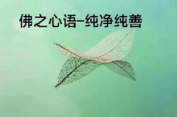 孩子偷拿家里的钱该如何处理游戏截图