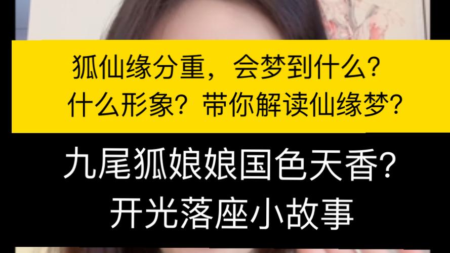 带仙缘的500种梦境