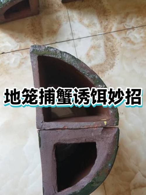 下螃蟹笼放什么诱饵