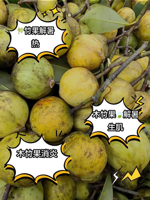 木竹子果可以泡酒吗截图