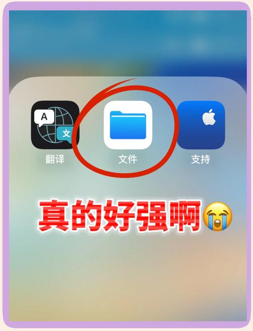 苹果的文件管理在哪里找到