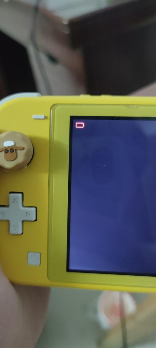 switch长期不开机充电没反应游戏截图