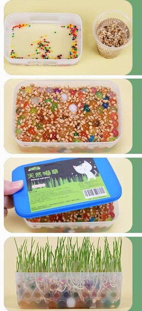 猫零食