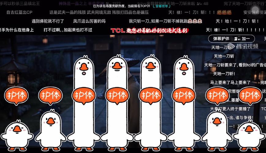 弹幕护体什么意思