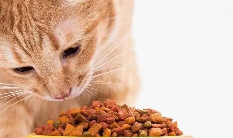 2015年动物食品安全问题