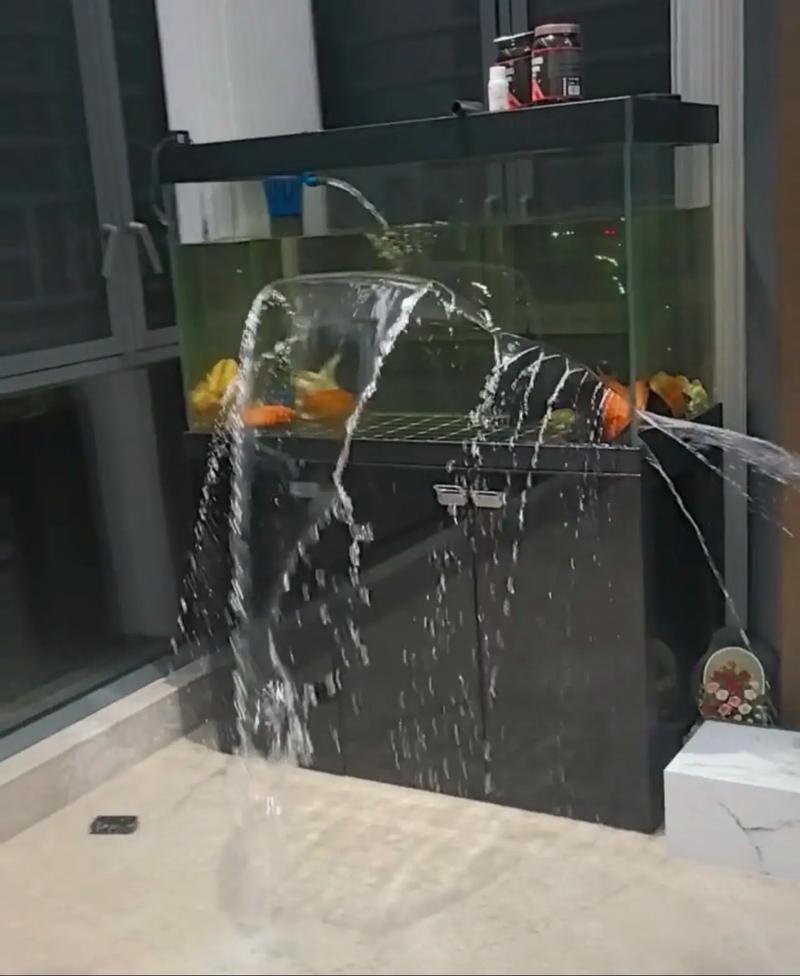鱼缸爆裂是吉兆还是凶兆缩略图