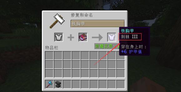 荆棘1000附魔指令