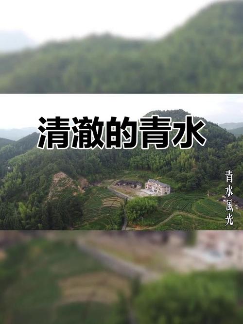 青水大招全名