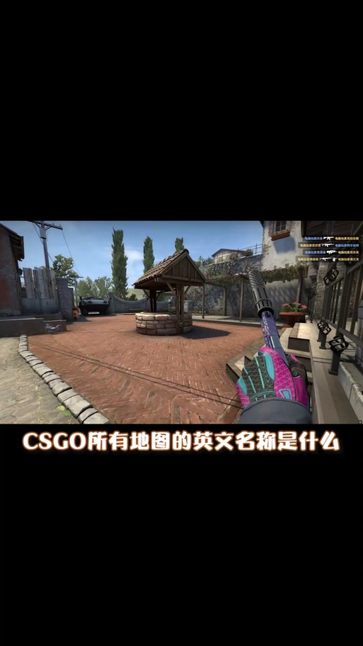 csgo怎么用中文
