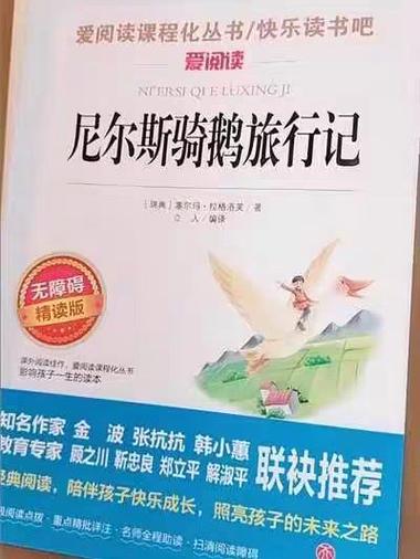 骑鹅旅行记完整版免费图标
