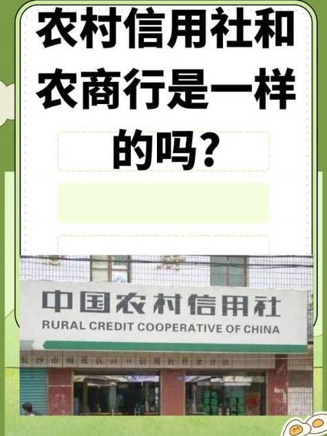 农村信用社云闪付下载