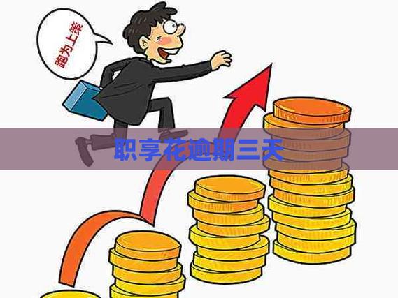 职享花app官网最新版