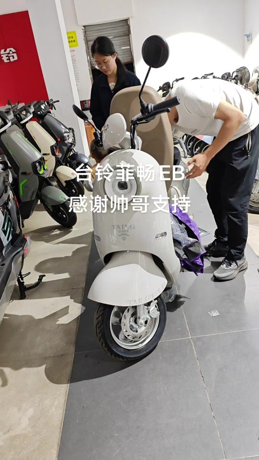 台铃是台湾品牌吗图标