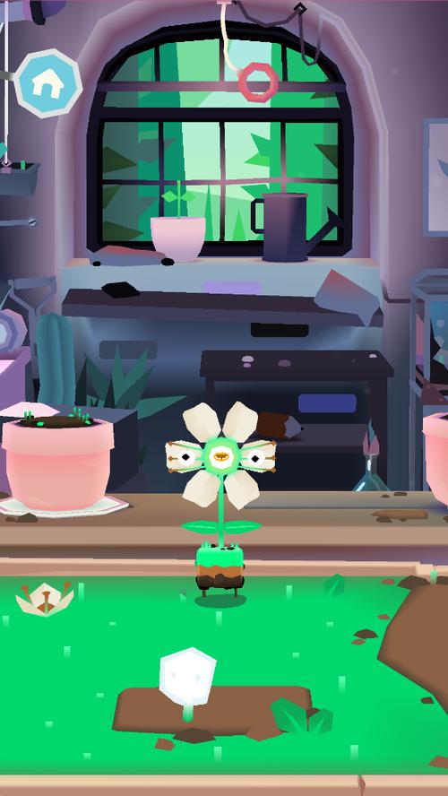 托卡实验室植物