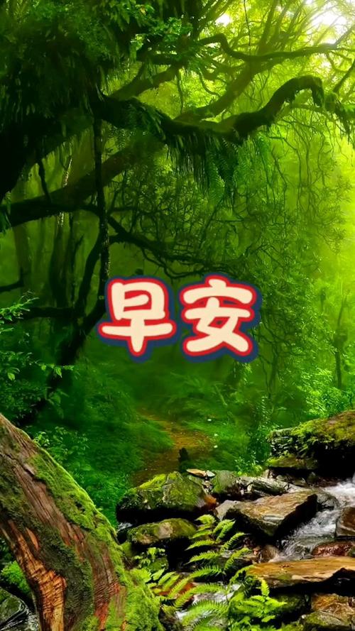 每天祝福小视频