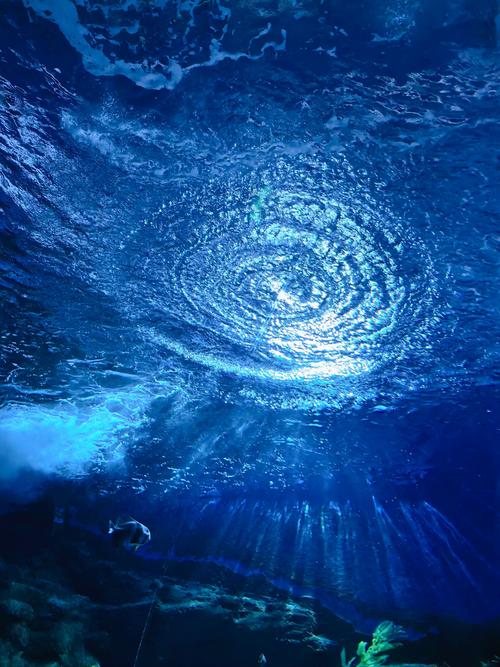 深海深海迷迷航缩略图