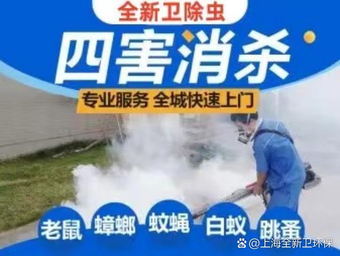 专业消杀公司收费明细