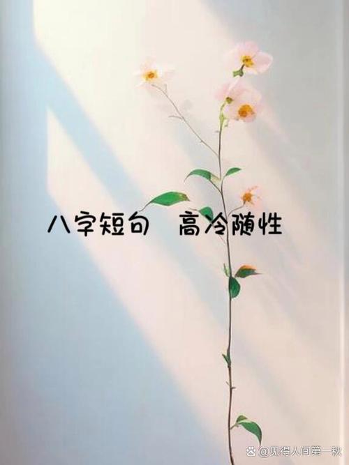 朋友圈文案高级短句图片截图