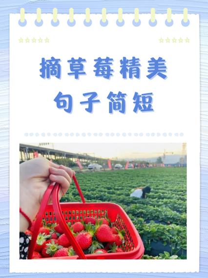 摘草莓应该怎么摘