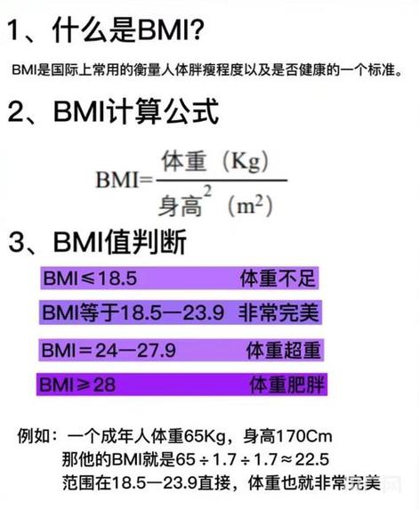 bmi计算机在线计算图标