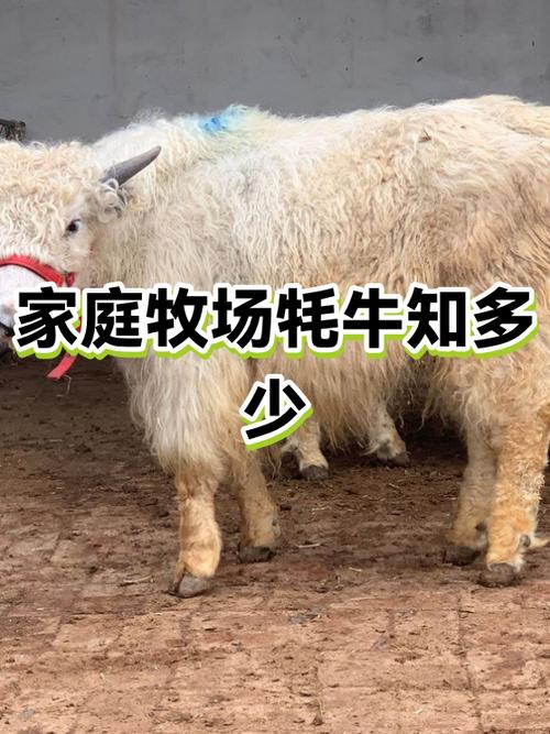 大德共享牧场代养图标