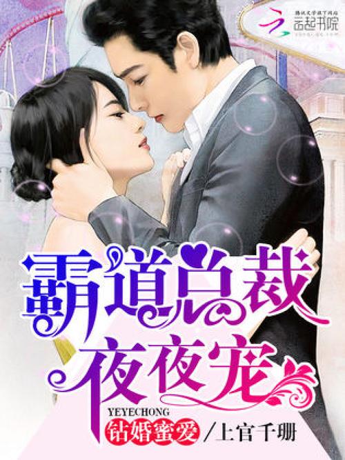 《霸道总裁夜夜宠》完整版