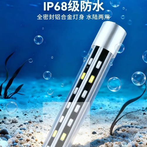 鱼缸灯可以一直开着吗图标