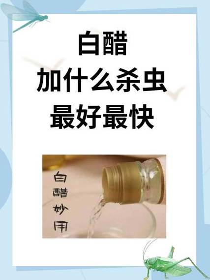 止痒偏方白醋