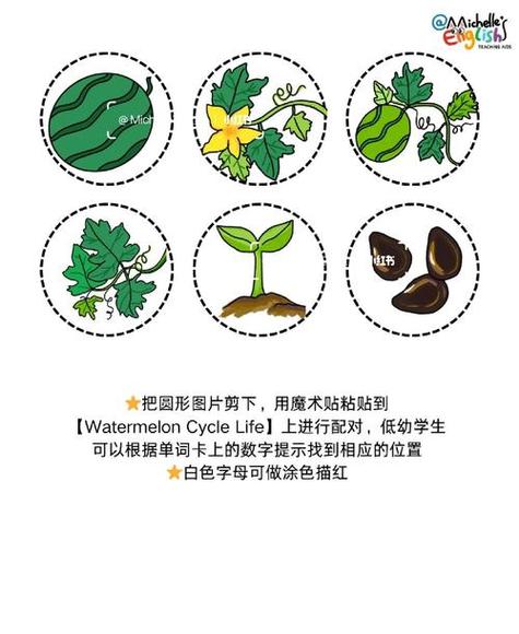 我的世界西瓜种植方法介绍