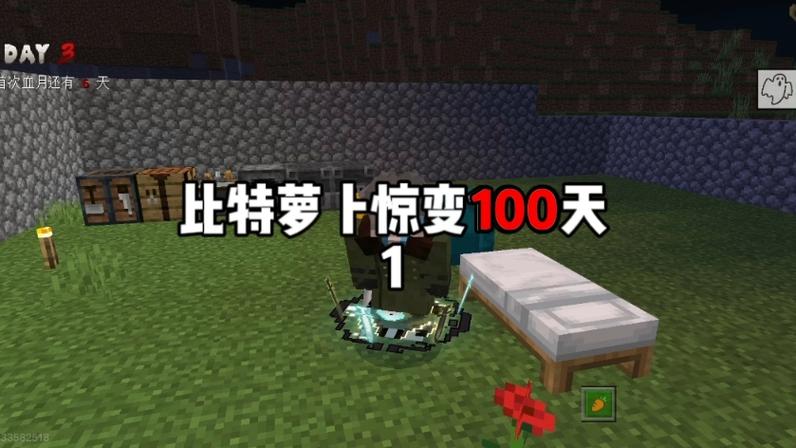 一口气看完萝卜惊变100天
