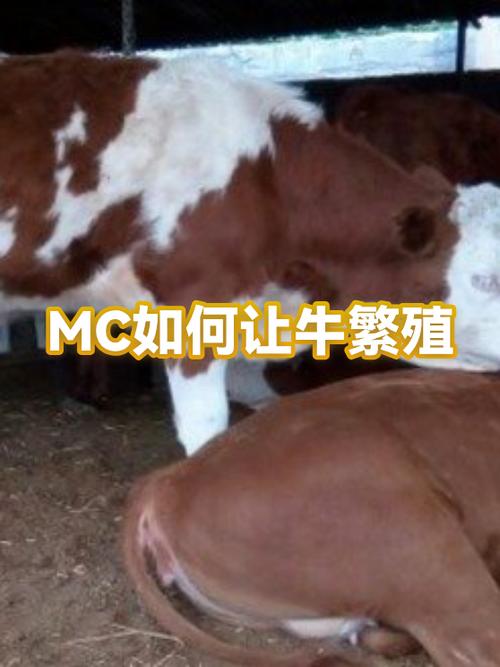 我的世界让牛繁殖缩略图