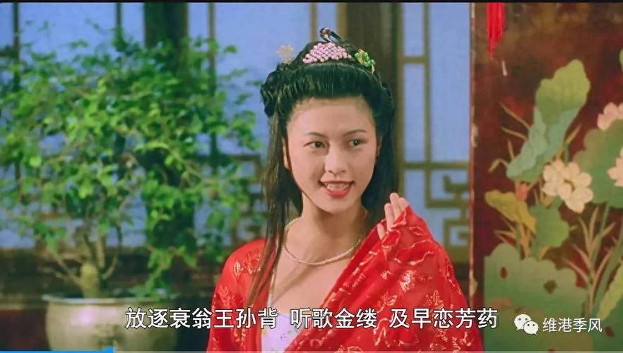 老鸨的读音是什么