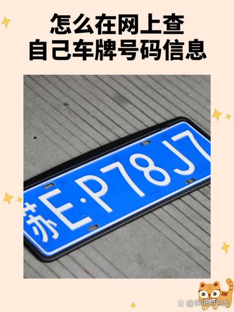 输入车牌号查询车主