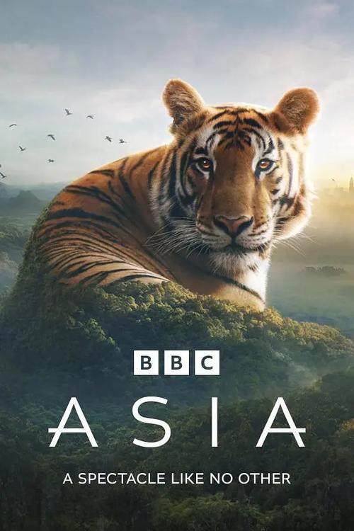 bbc纪录片是哪国的