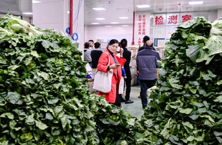 美家买菜一个团长收入怎样