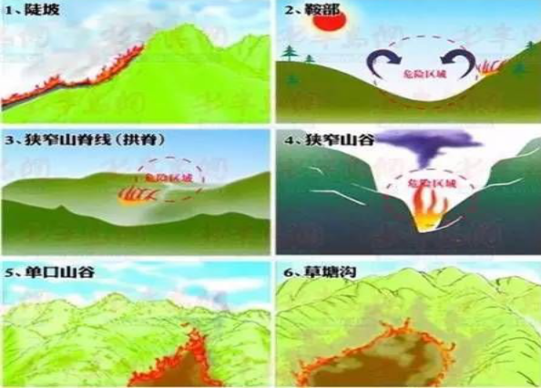 森林分布在什么地形区
