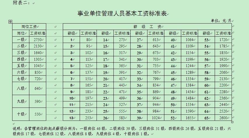 事业单位工资明细表截图