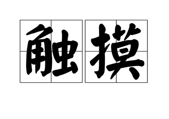 触摸相近的词
