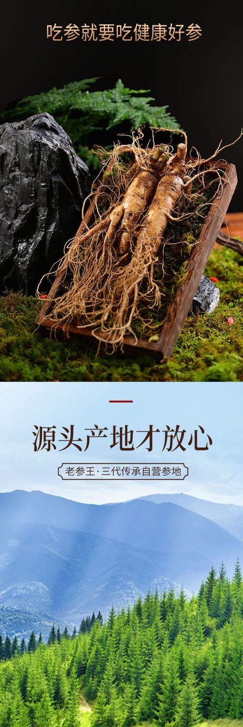长白山人参广告词