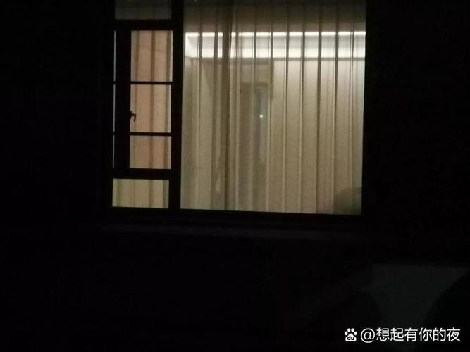 家里灯忘记关了40几天