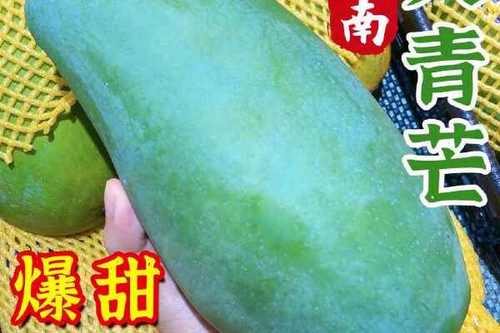 芒果青色的可以吃吗截图