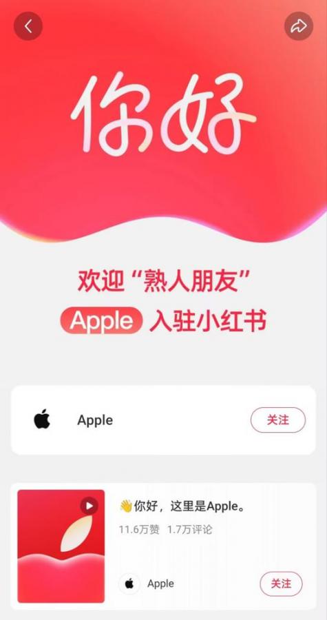 小红书苹果和安卓账号互通吗