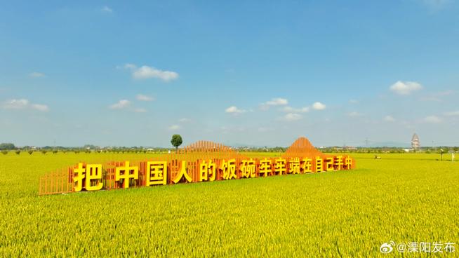 近年来全世界的水稻田中陆续出现了截图