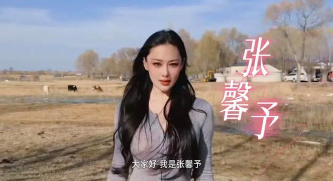 张馨予综艺