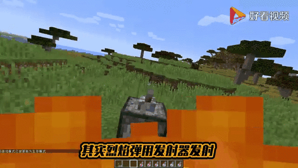 我的世界弹射物