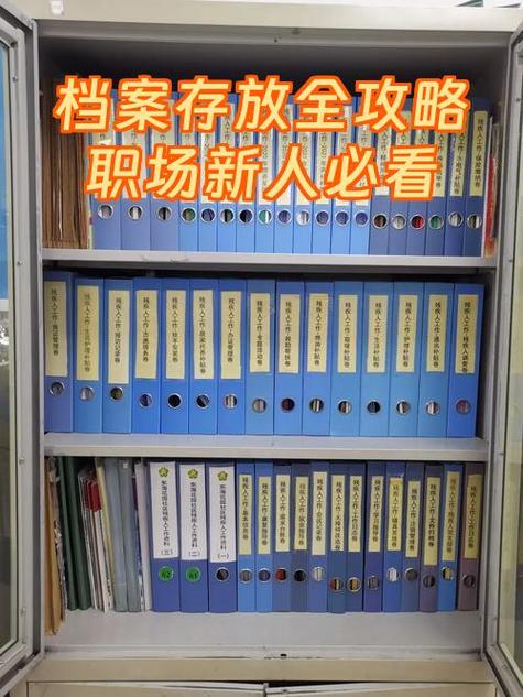 存档案什么时候开始免费