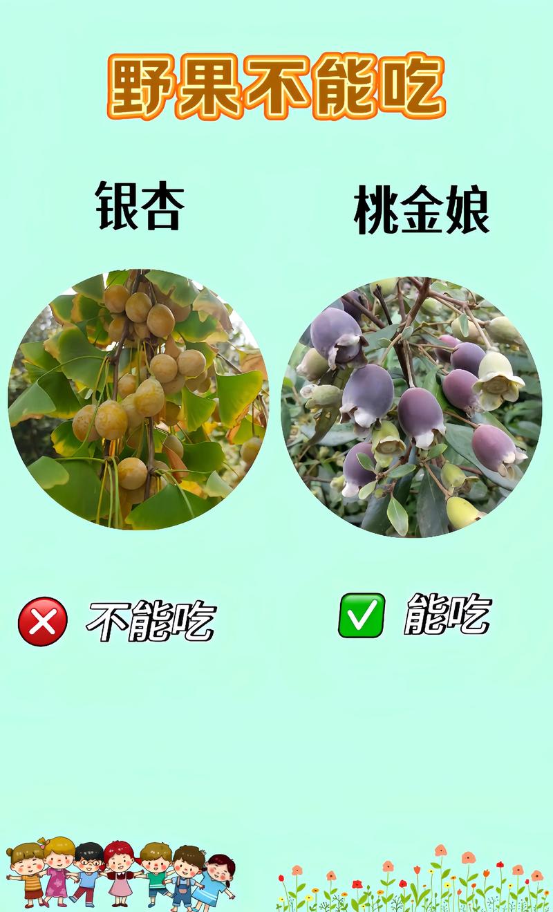 种福果不能合种