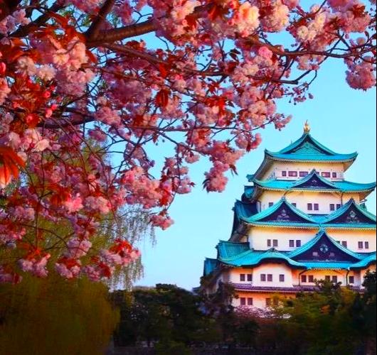 日本旅游打卡景点