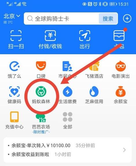 支付宝蚂蚁森林反应慢